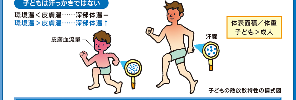 子供は、大人と比べて汗かきではない